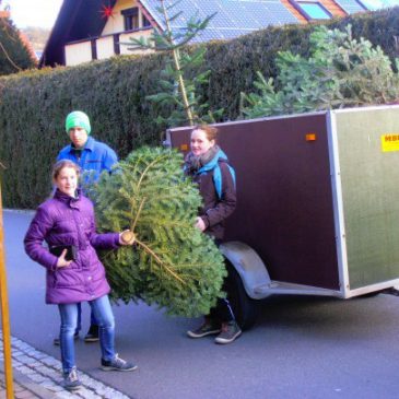 Wir nehmen Ihren ALTEN mit – Weihnachtsbaum-Sammelaktion